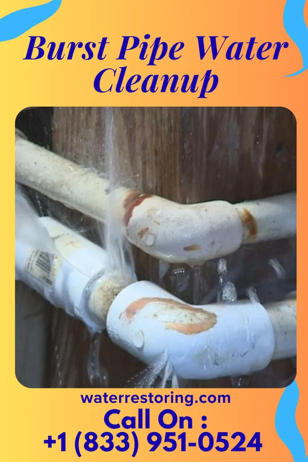 Burst Pipe Water Cleanup in Pangburn, AR
