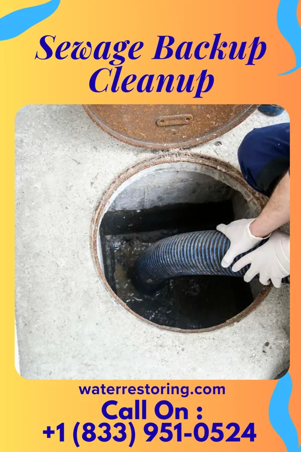 Sewage Backup Cleanup in Pangburn, AR