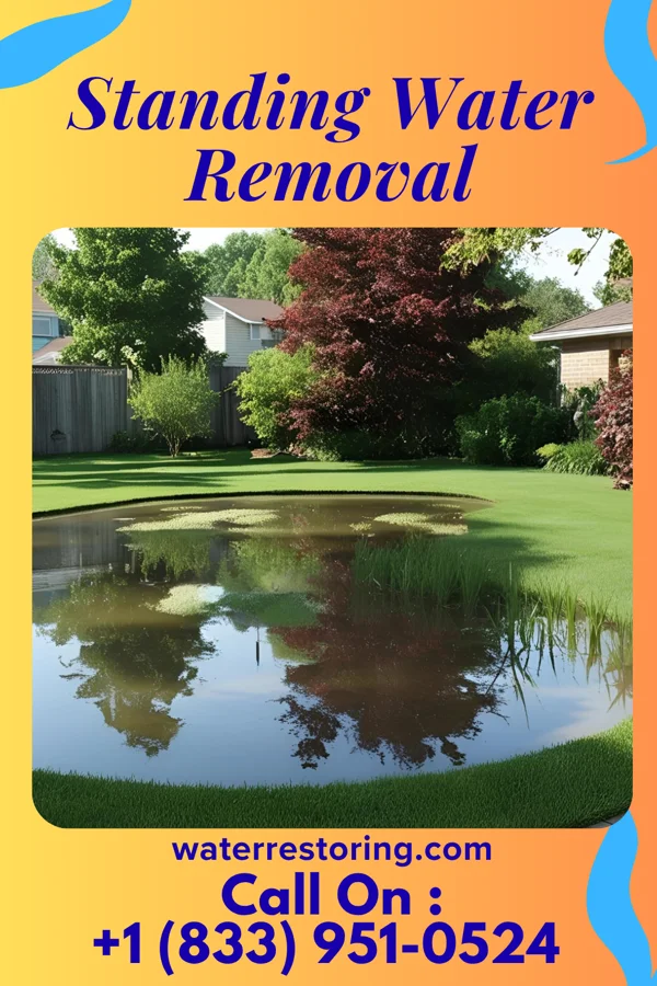 Standing Water Removal in Pangburn, AR